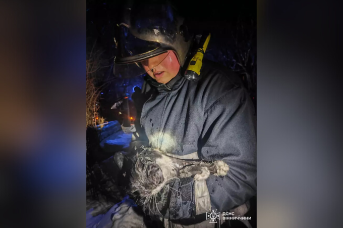 У Вінниці під час пожежі в квартирі врятували домашніх тварин: що відомо