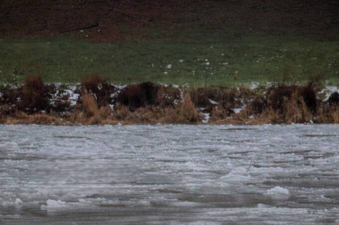 Відлига на Вінниччині: рівень води у притоках Дністра зростає, лід стає небезпечним