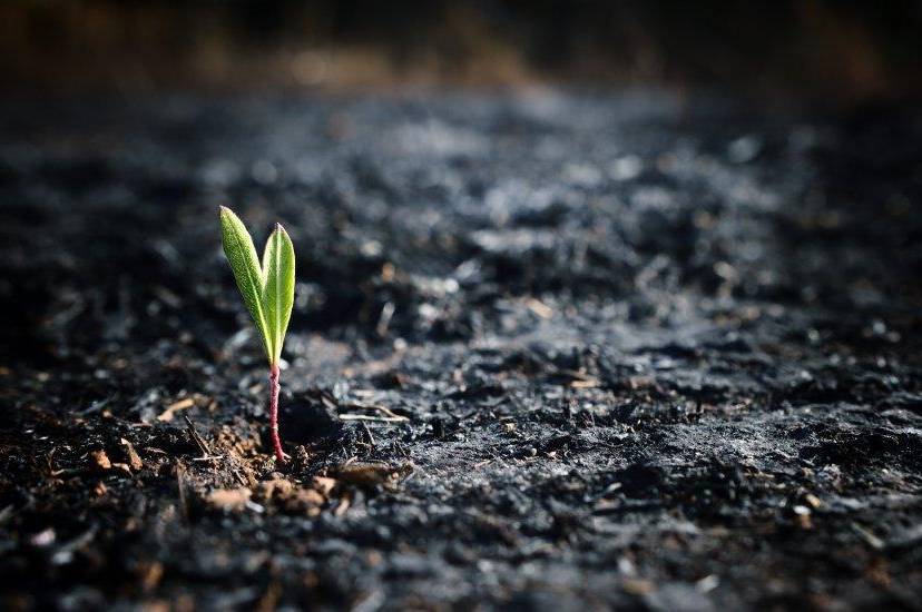 Майже 2,5 мільярда гривень збитків: як війна вдарила по довкіллю Вінниччини