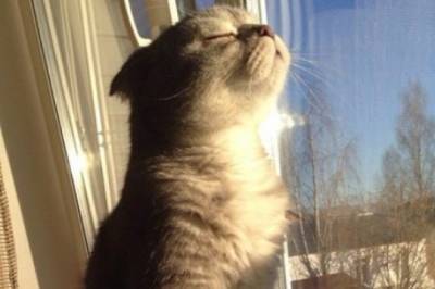 Морози вночі та ожеледиця на дорогах: якою буде погода на Вінниччині 26–27 лютого