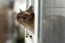 Весняне тепло до +8° і дощ у вівторок: прогноз погоди на Вінниччині