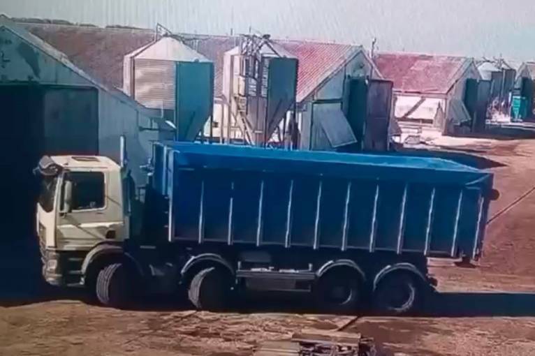 Смертельна ДТП на підприємстві у Тульчинському районі: вантажівка наїхала на працівницю