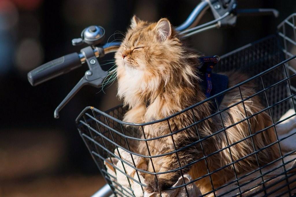 До +14° тепла: якою буде погода на Вінниччині 7–8 березня