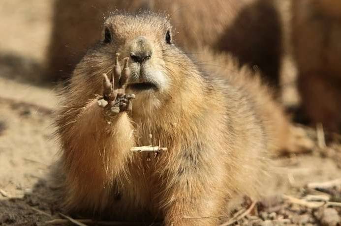 До +15° тепла: якою буде погода на Вінниччині 8–9 березня