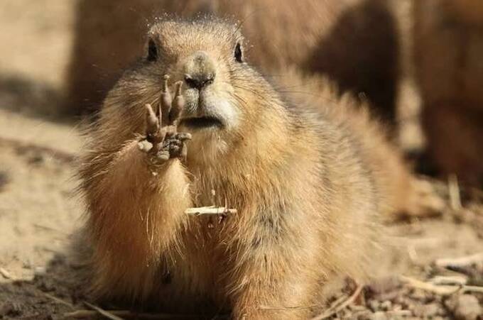 До +15° тепла: якою буде погода на Вінниччині 8–9 березня