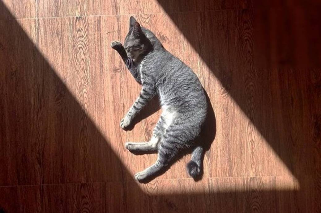 До +17°: якою буде погода на Вінниччині 12–13 березня