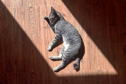 До +17°: якою буде погода на Вінниччині 12–13 березня