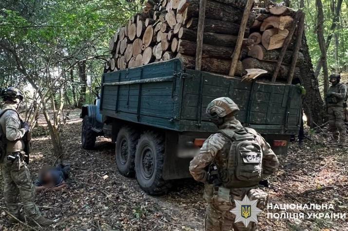 На Вінниччині завершили розслідування справи «чорних лісорубів»: що відомо
