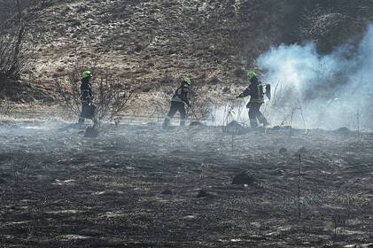У Вінницькій області за добу вигоріло понад два гектари сухостою