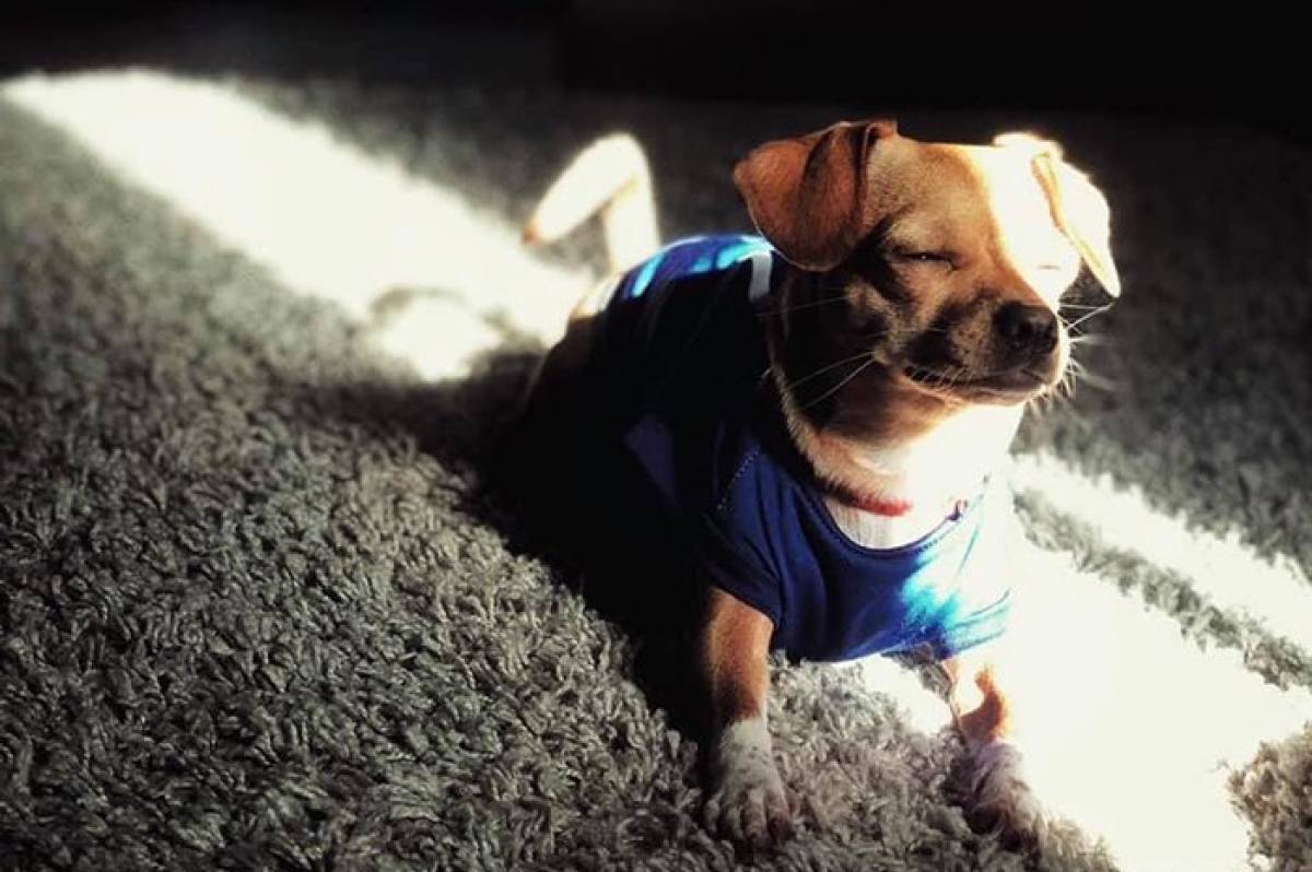 До 15° тепла: якою буде погода у Вінниці та області 16–17 березня