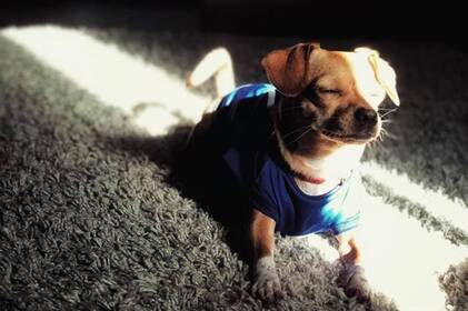 До 15° тепла: якою буде погода у Вінниці та області 16–17 березня