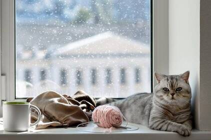 У Вінниці прогнозують дощ і мокрий сніг: якою буде погода 19–20 березня