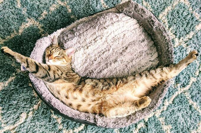 Весна з характером: у Вінниці прогнозують вітряні та прохолодні вихідні