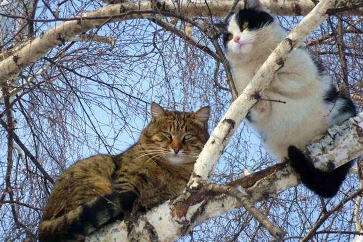 Весна набирає обертів: якою буде погода у Вінниці на початку тижня