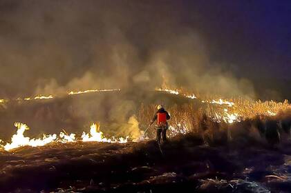 Палає вся область: десятки пожеж за добу на Вінниччині