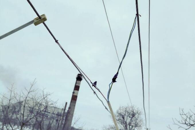 Незаконна економія на світлі: як крадіжка електроенергії обертається великими штрафами