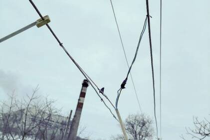 Незаконна економія на світлі: як крадіжка електроенергії обертається великими штрафами