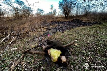 Вогонь не пробачає: за добу на Вінниччині сталося 22 пожежі, є загибла