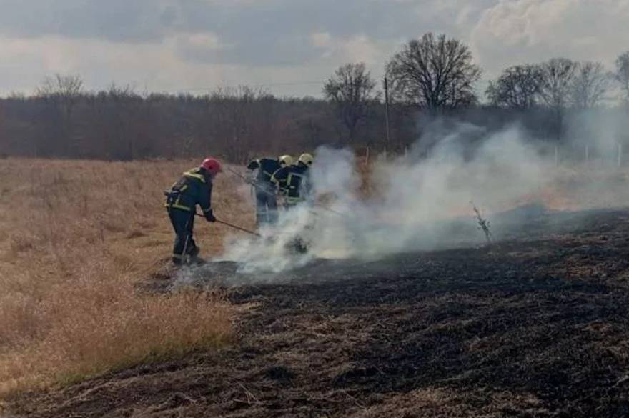 На Вінниччині за добу вигоріли одинадцять гектарів землі