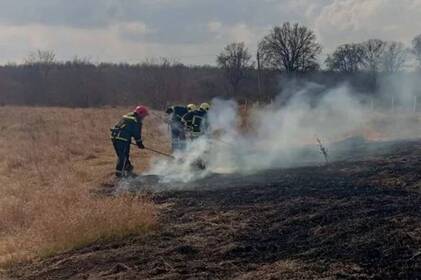 На Вінниччині за добу вигоріли одинадцять гектарів землі