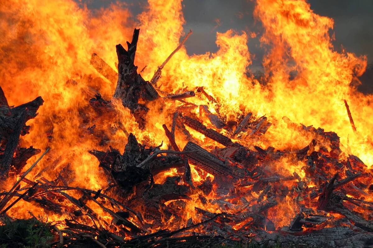 Спалювання листя у Вінниці: за два тижні зафіксували десятки порушень