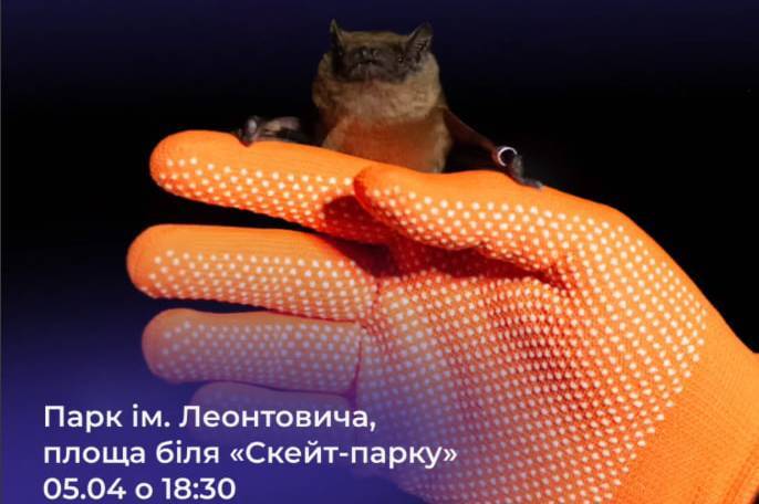 У Вінниці випустять 150 кажанів після зимової реабілітації