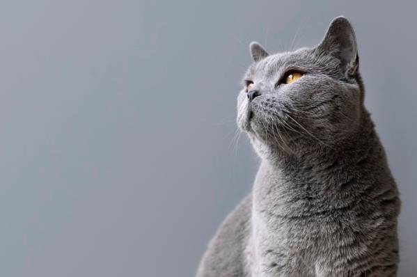 У Вінниці потеплішає до +19°: прогноз погоди на 1–2 квітня