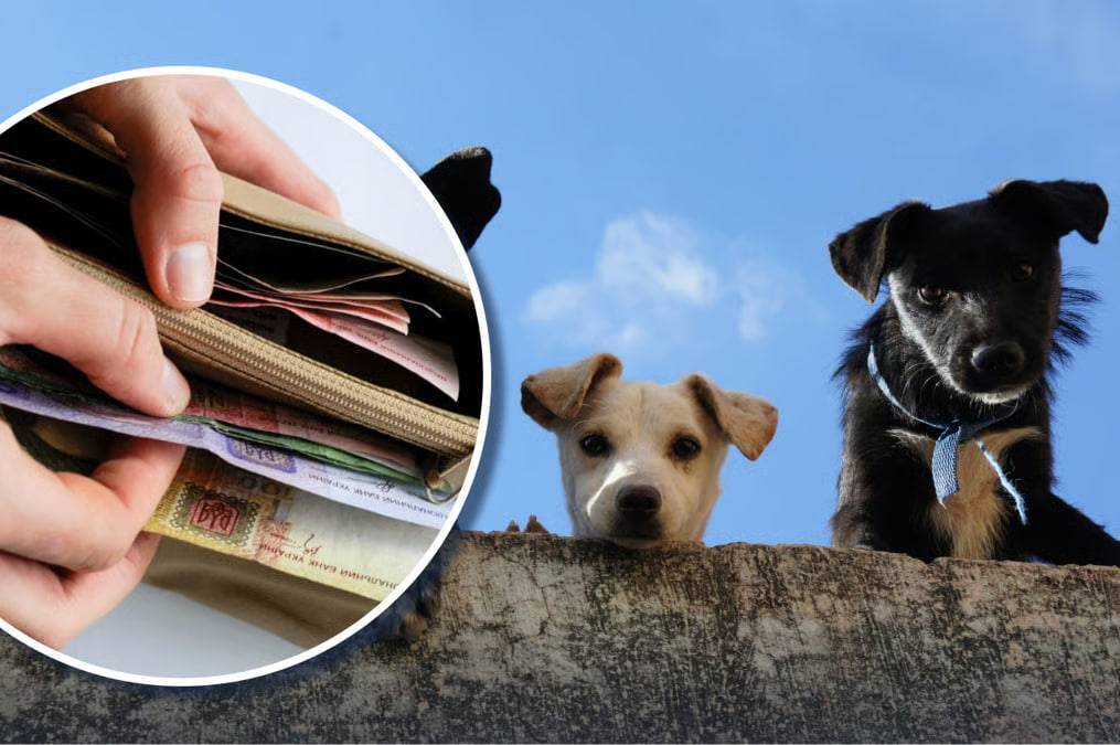 Власників тварин у квітні очікують великі штрафи та конфіскація за певні порушення