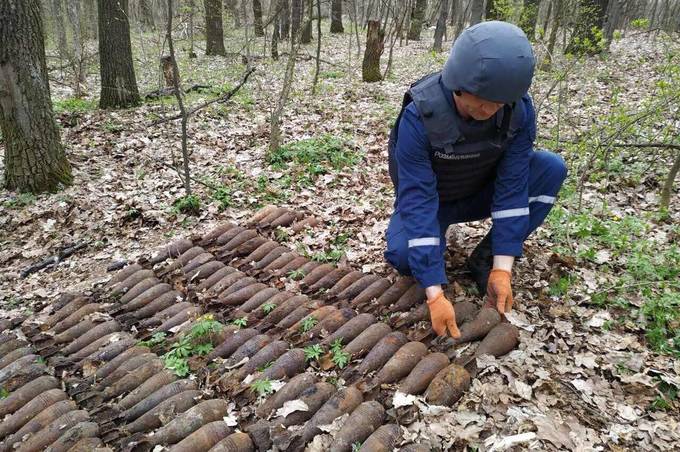 В Оратівському районі неподалік села виявили 208 боєприпасів