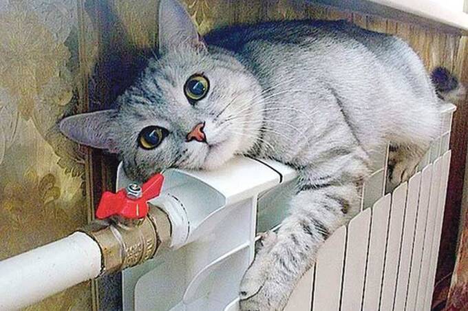 Потепління з сюрпризом: на Вінниччині прогнозують заморозки і сильний вітер