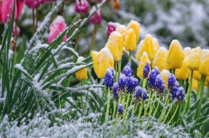 В Україну йде різке похолодання з мокрим снігом та штормовим вітром