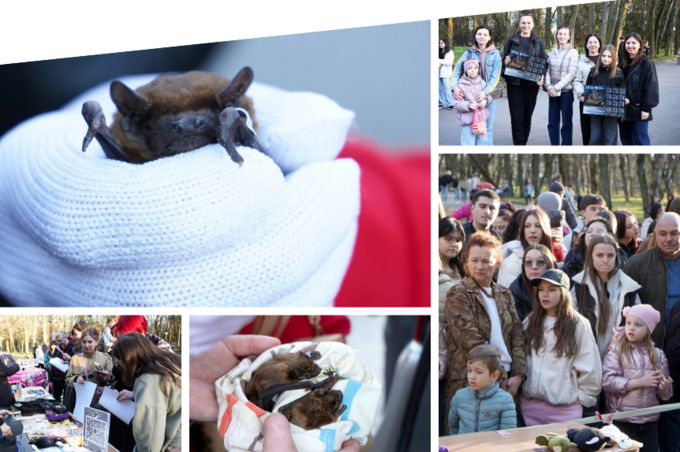 У Вінниці випустили на волю 150 врятованих кажанів (фото)
