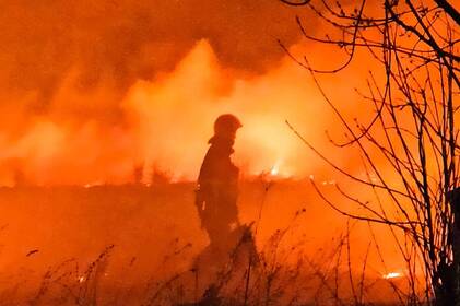 13 пожеж за добу на Вінниччині: горіли склади, господарські споруди та екосистеми