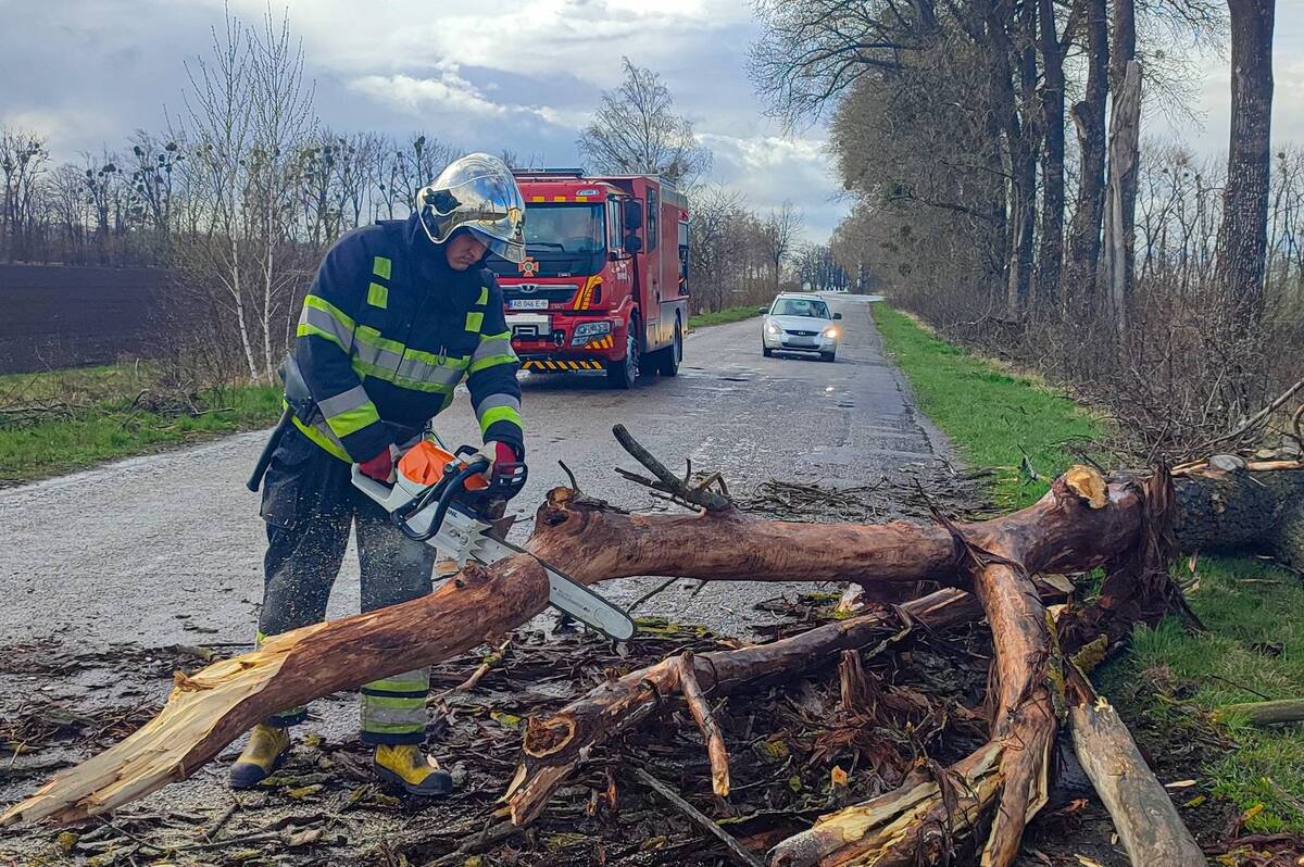 Негода на Вінниччині повалила дерева на дороги: рятувальники дев’ять разів виїжджали на виклики (відео)