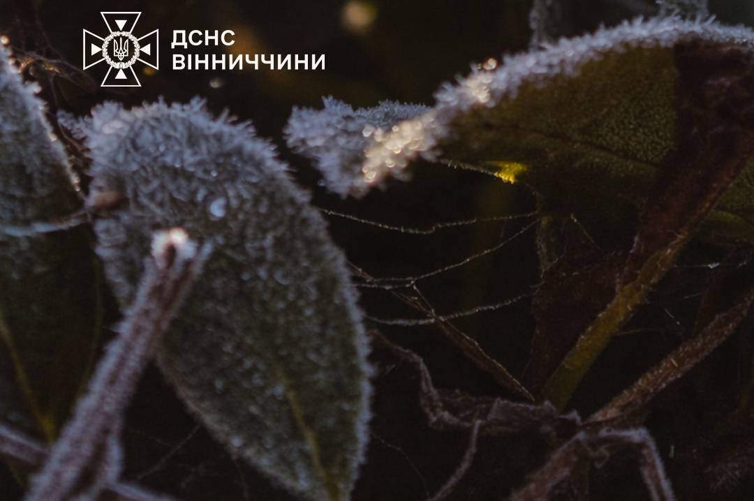 Заморозки до -5° і дощі наприкінці тижня: прогноз погоди на Вінниччині