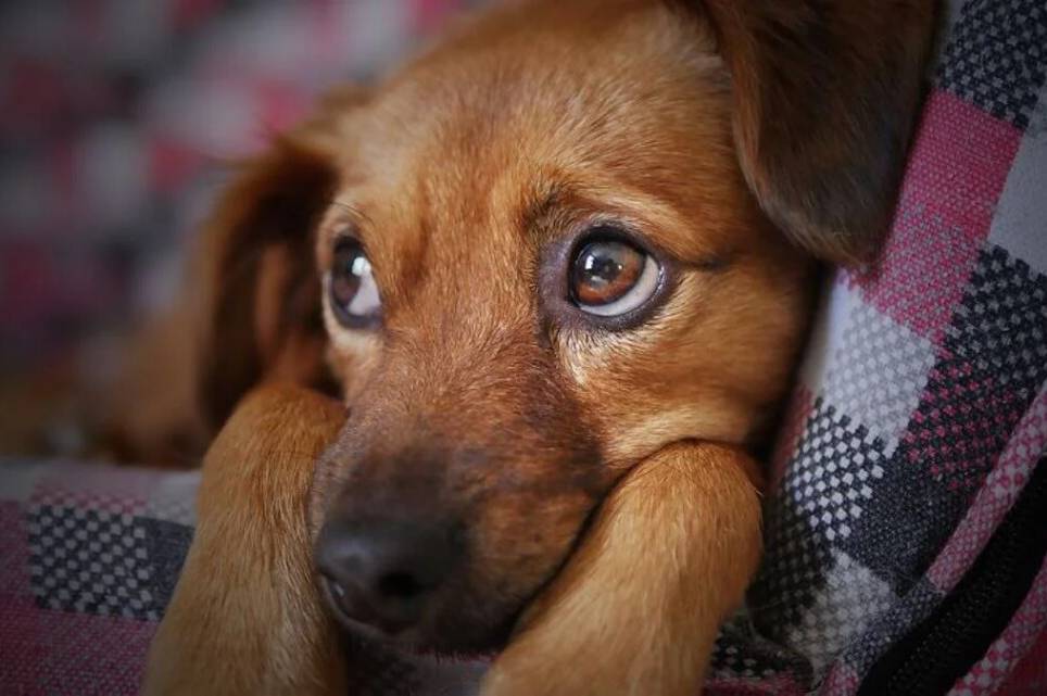 Заморозки до -5° та теплі дні: прогноз погоди на Вінниччині 14–15 квітня