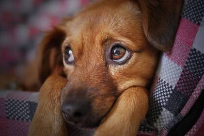 Заморозки до -5° та теплі дні: прогноз погоди на Вінниччині 14–15 квітня