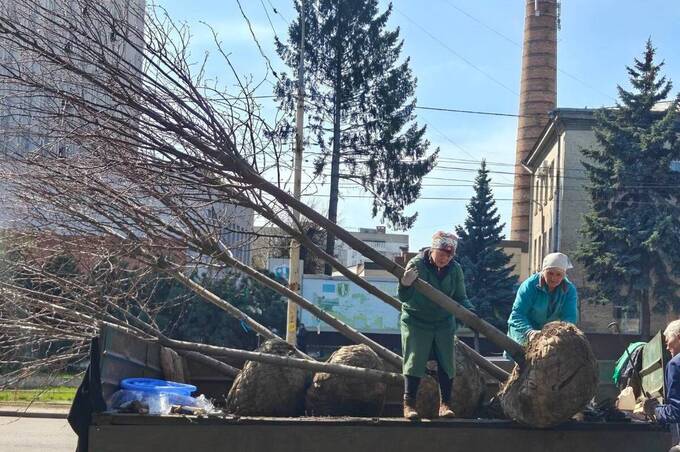 Нові дерева по всьому місту: де у Вінниці вже з’явилися зелені насадження
