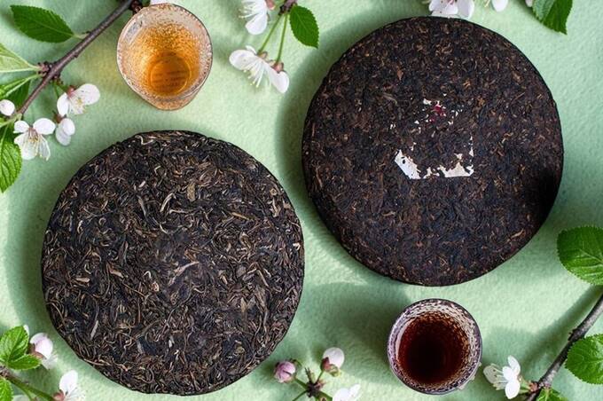 Шен пуэр vs шу пуэр: что купить?