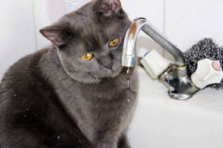 Без відключень, але з ремонтами: що відбувається у Вінниці 17 квітня