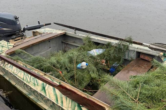 На Ладижинському водосховищі облаштували сотні штучних нерестовищ для риби