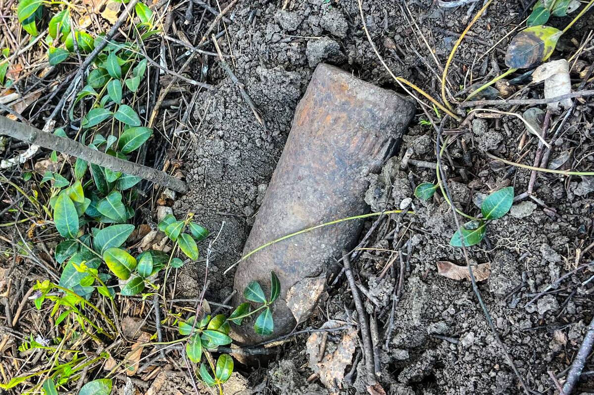 На кладовищі Турбівської громади виявили боєприпаси часів Другої світової