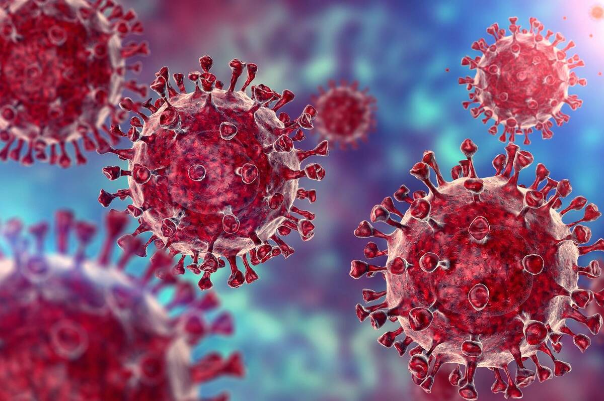 В Україні зафіксували новий підвид коронавірусу «Цикада»