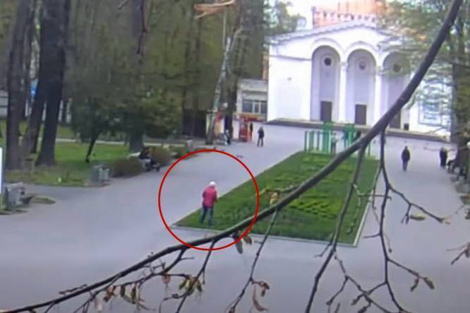 У Центральному парку Вінниці «зникають» квіти через недобросовісних містян (відео)