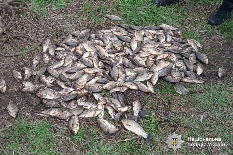 На Вінниччині у браконьєрів вилучили понад 60 кілограмів риби