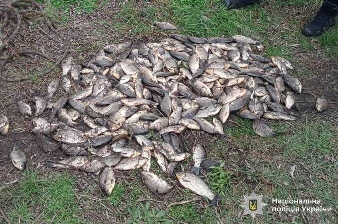 На Вінниччині у браконьєрів вилучили понад 60 кілограмів риби