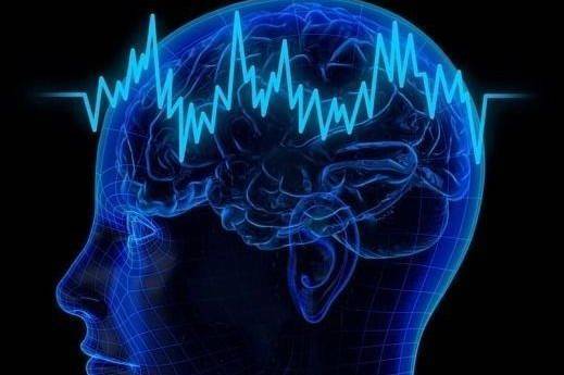 Почему мозг — самый главный эротический орган? 
