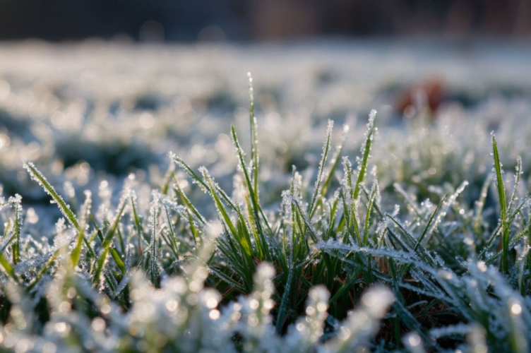 Заморозки та дощі: яку погоду прогнозують на Вінниччині 29–30 квітня