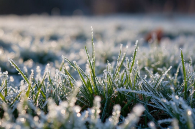 Заморозки та дощі: яку погоду прогнозують на Вінниччині 29–30 квітня
