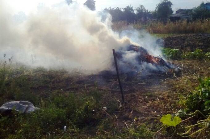 За спалювання сухостою вінничани можуть заплатити до 1360 грн штрафу